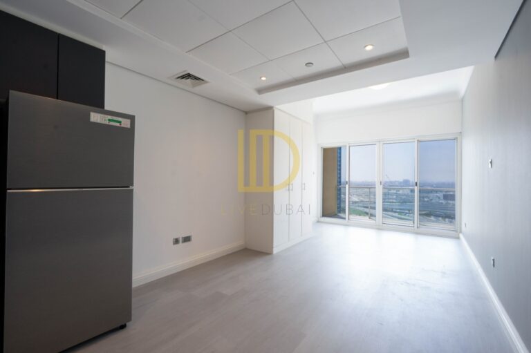 Studio apartment in Lake View