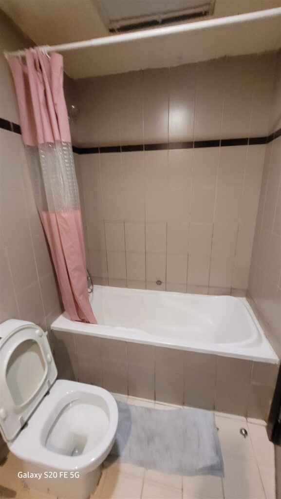 Second bathroom before the renovation, Remraam, Dubailand